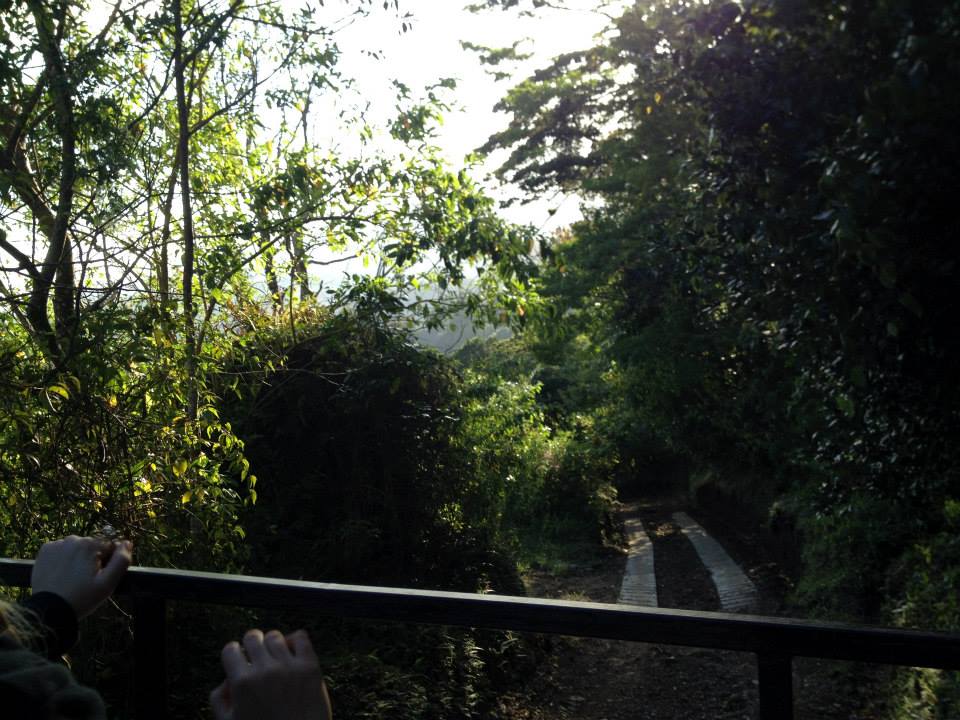 10896923_729689753811837_44007113604803002_n